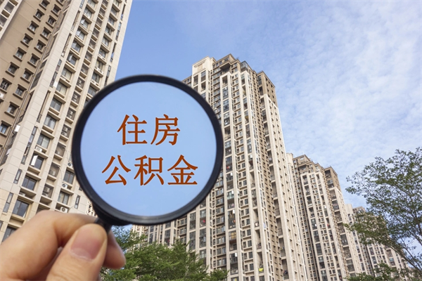 邵东公积金小额提取（公积金小额怎么提取）